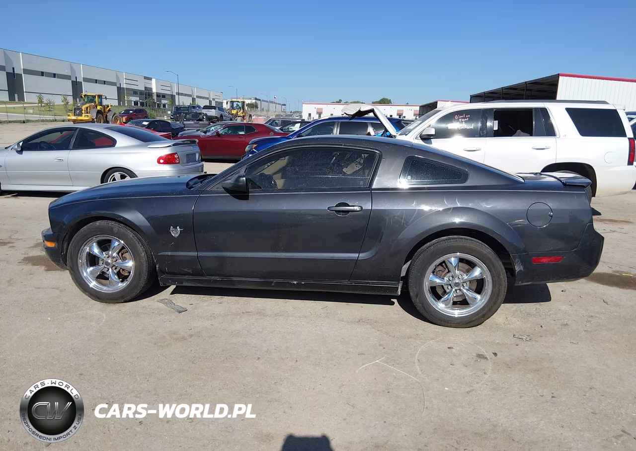 2009 Ford Mustang V6-V6 Premium VIN:1ZVHT80N695101934 - 14