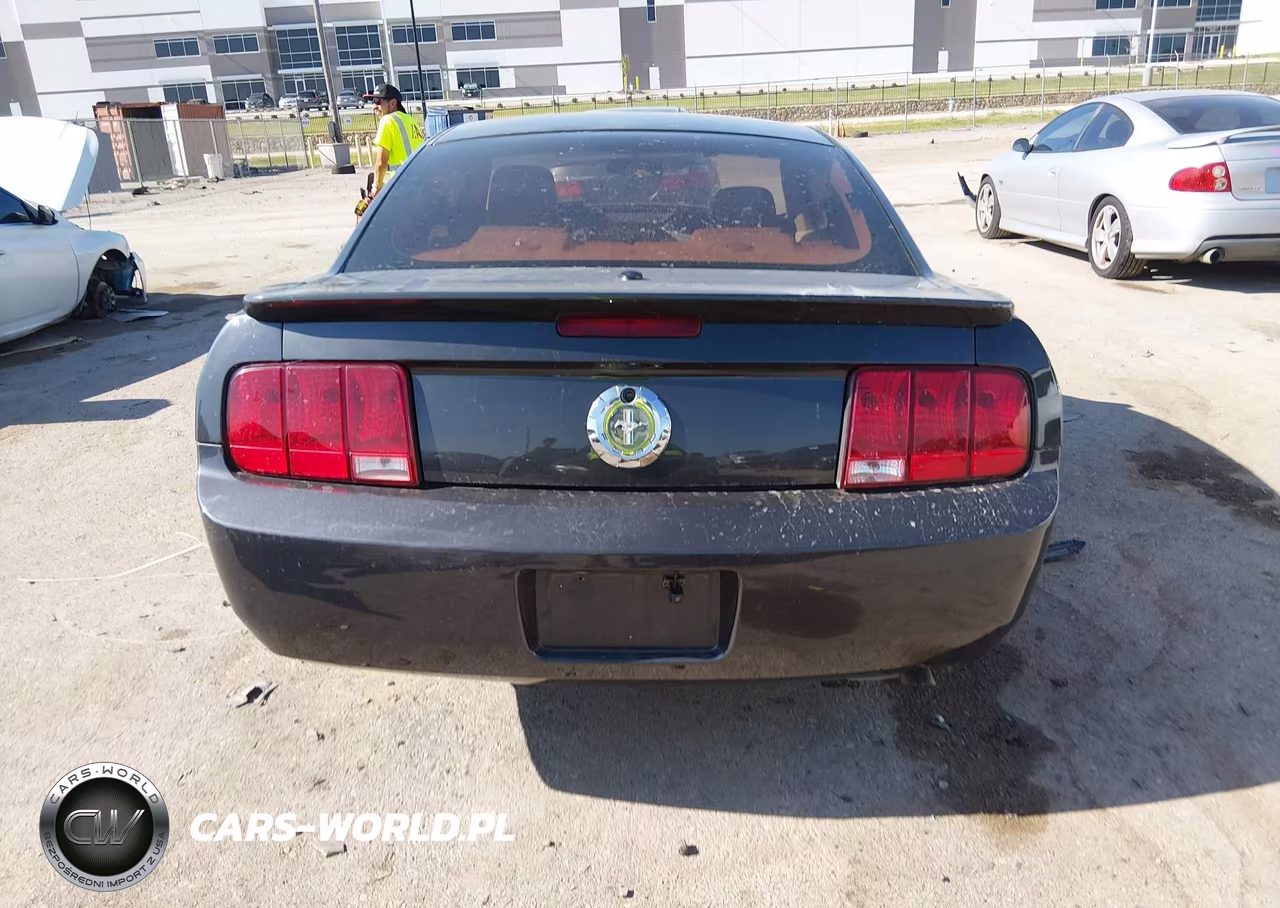 2009 Ford Mustang V6-V6 Premium VIN:1ZVHT80N695101934 - 16