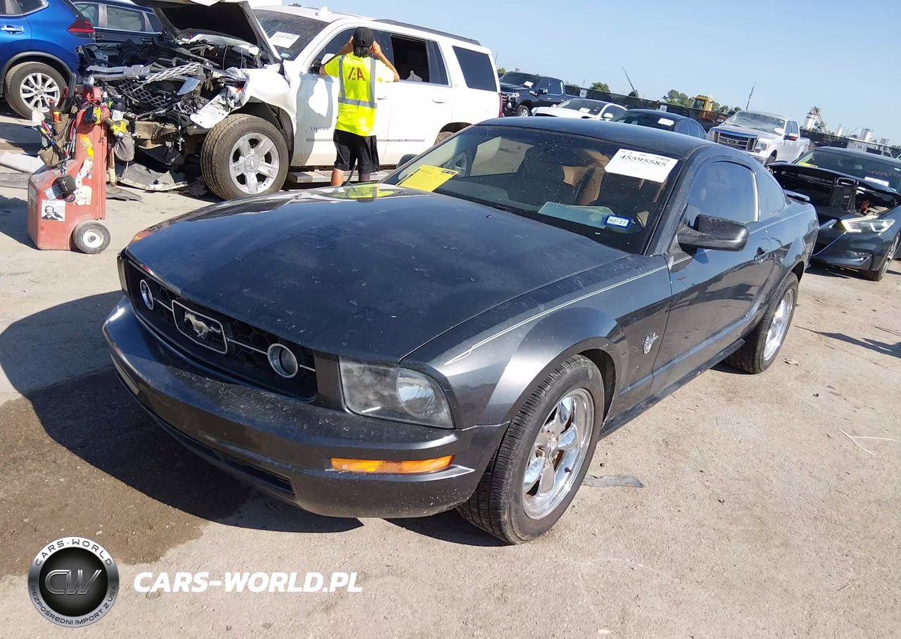 2009 Ford Mustang V6-V6 Premium VIN:1ZVHT80N695101934 - 2