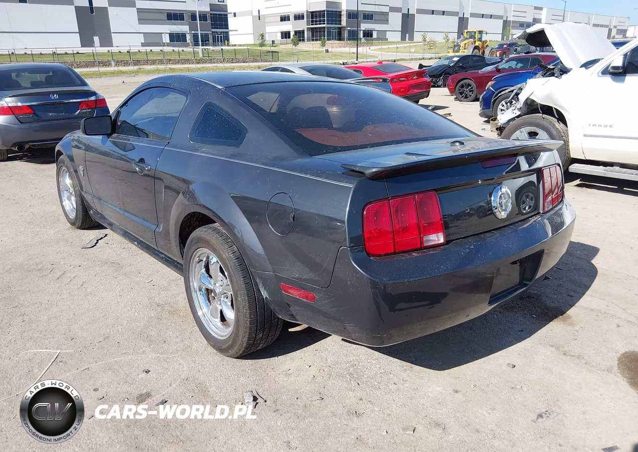 2009 Ford Mustang V6-V6 Premium VIN:1ZVHT80N695101934 - 3