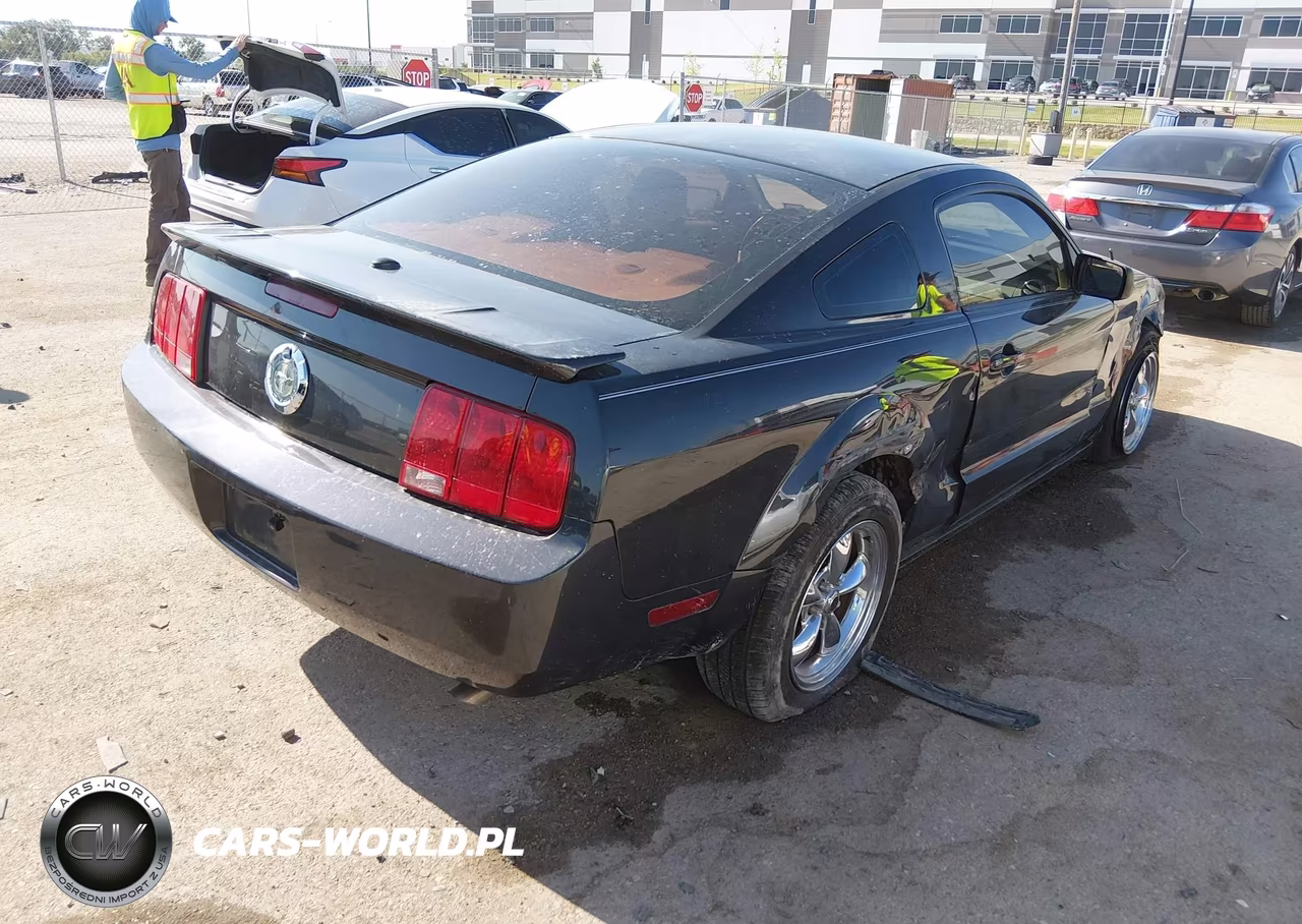 2009 Ford Mustang V6-V6 Premium VIN:1ZVHT80N695101934 - 4