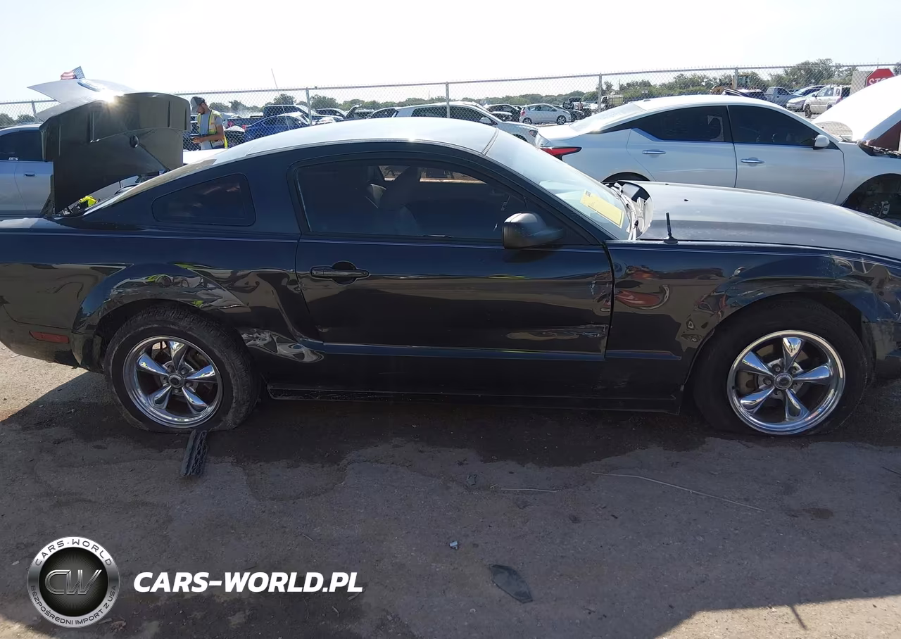 2009 Ford Mustang V6-V6 Premium VIN:1ZVHT80N695101934 - 6