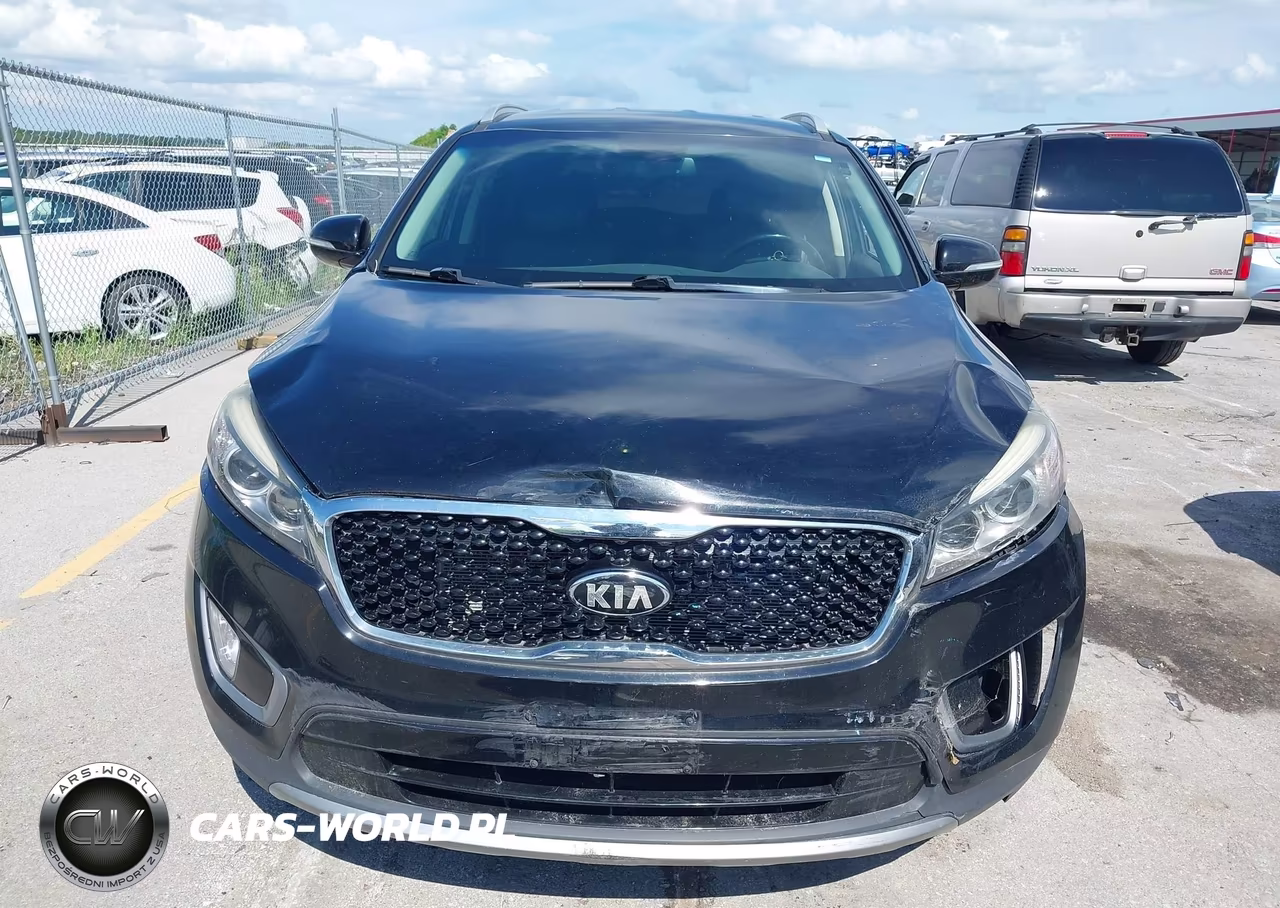 2016 Kia Sorento 3.3L Ex VIN:5XYPHDA54GG159570 - 12