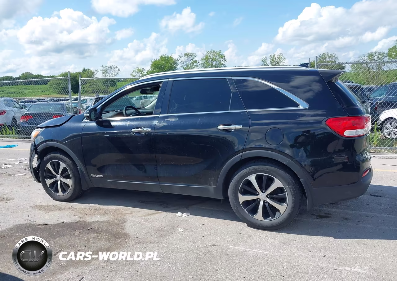 2016 Kia Sorento 3.3L Ex VIN:5XYPHDA54GG159570 - 14