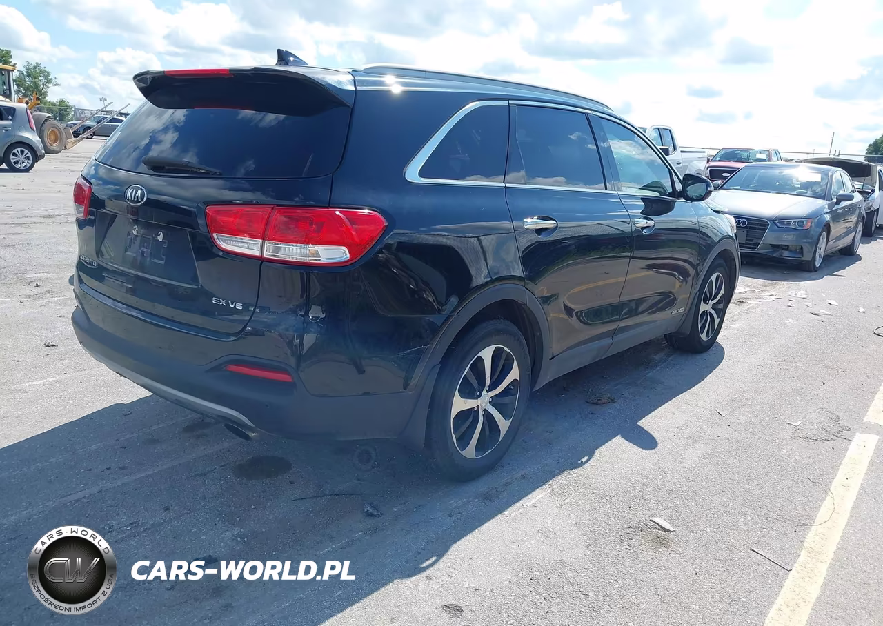 2016 Kia Sorento 3.3L Ex VIN:5XYPHDA54GG159570 - 4