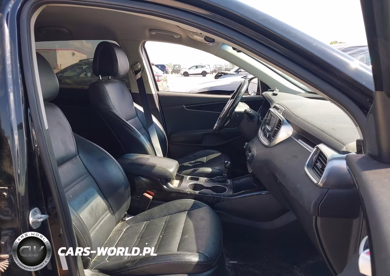 2016 Kia Sorento 3.3L Ex VIN:5XYPHDA54GG159570 - 5