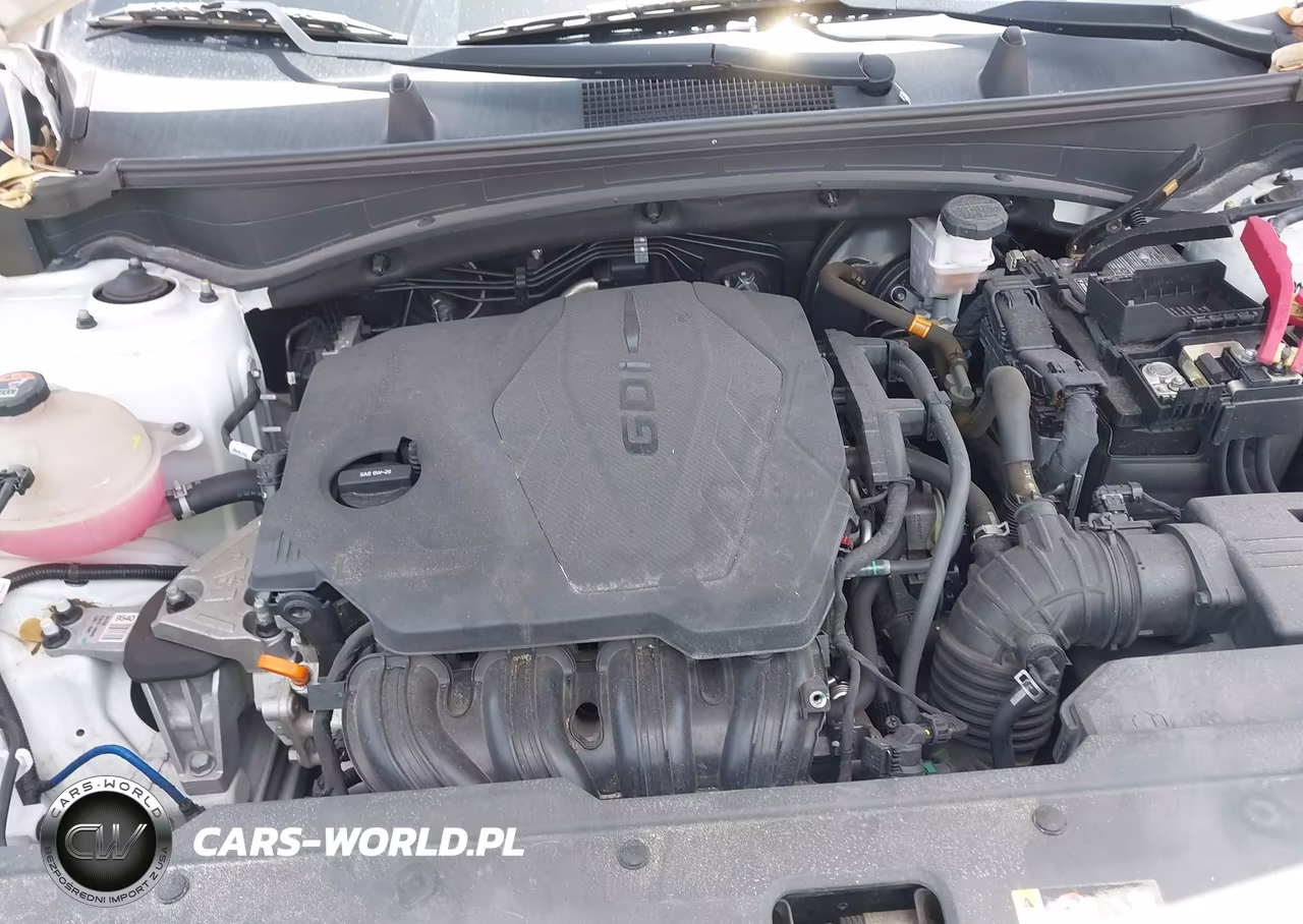 2023 Kia Sportage Ex VIN:5XYK33AF8PG005150 - 10