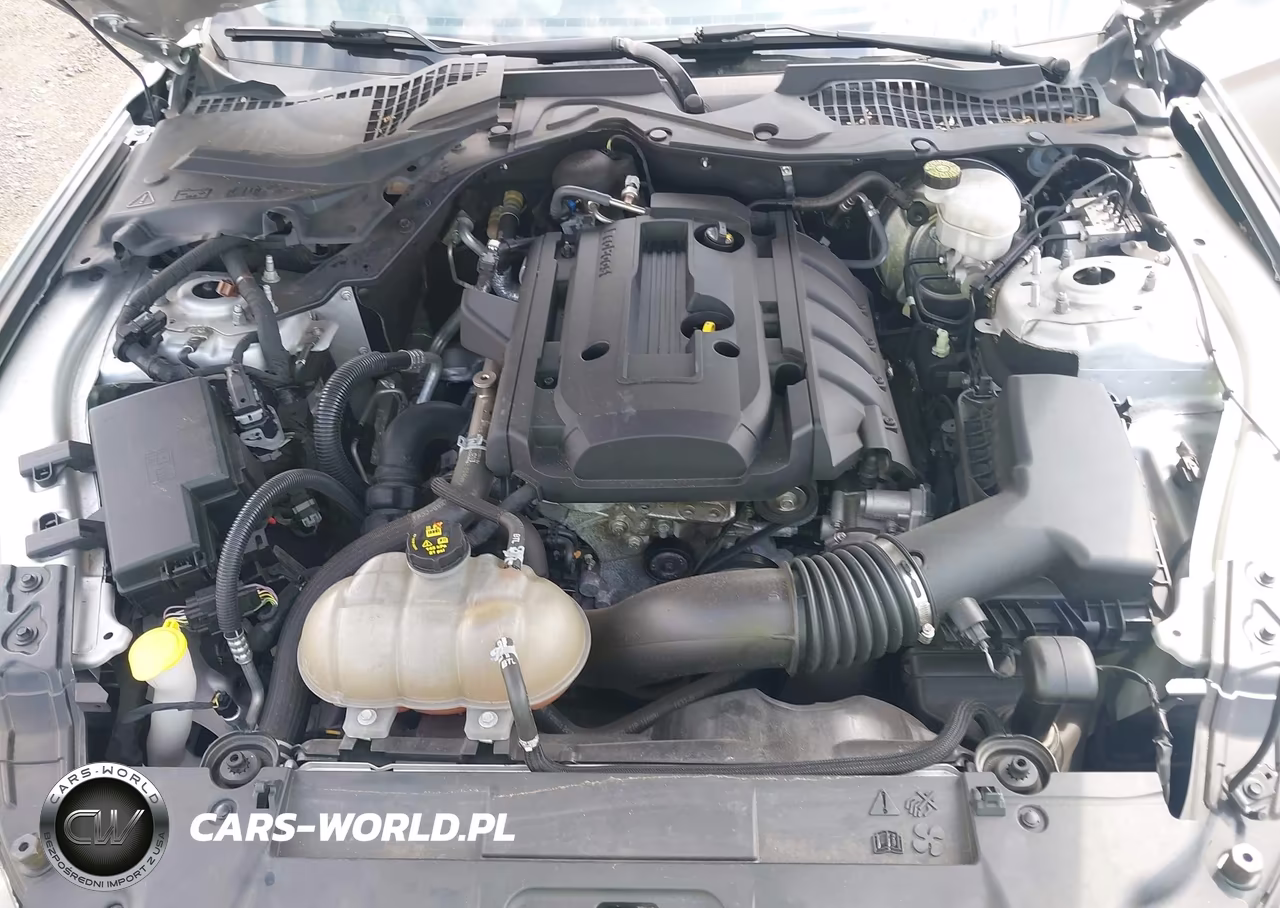 2019 Ford Mustang Ecoboost VIN:1FA6P8TH1K5116356 - 10