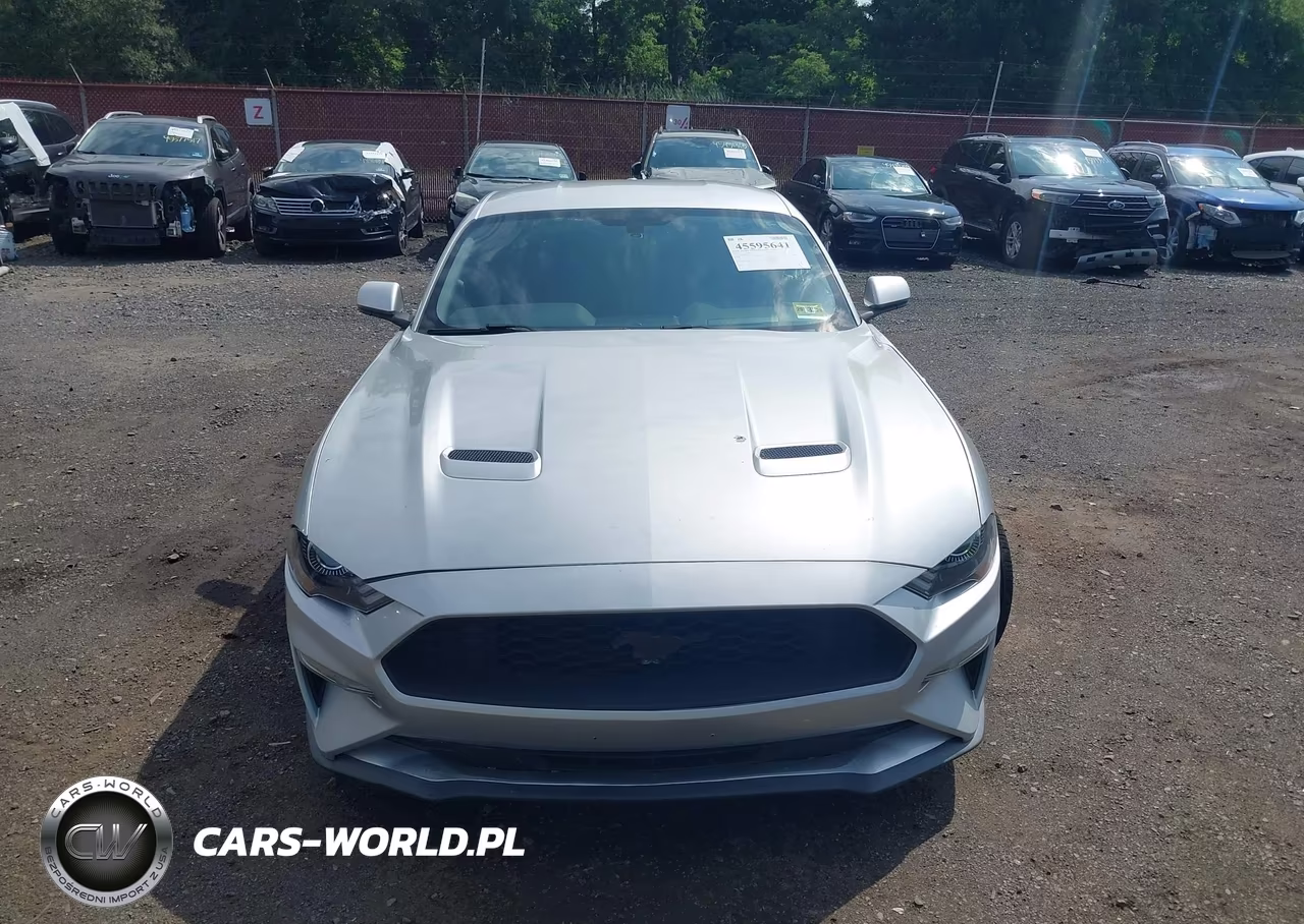 2019 Ford Mustang Ecoboost VIN:1FA6P8TH1K5116356 - 12