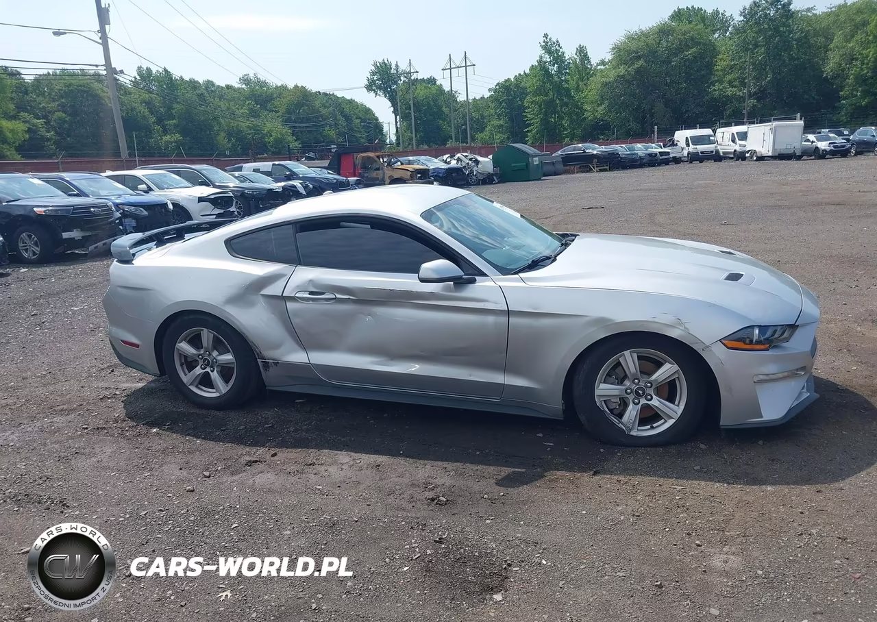 2019 Ford Mustang Ecoboost VIN:1FA6P8TH1K5116356 - 13