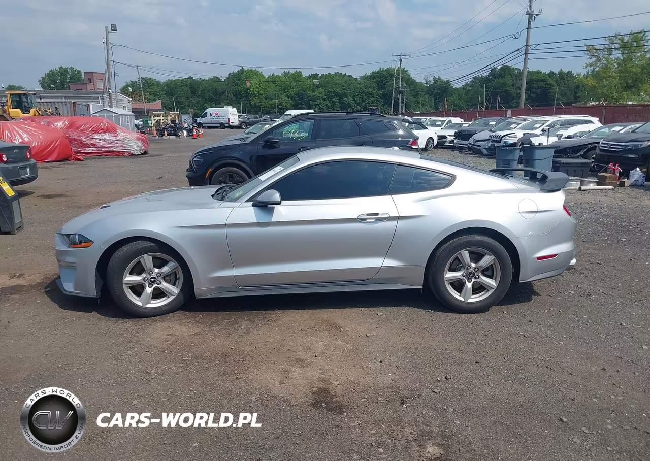 2019 Ford Mustang Ecoboost VIN:1FA6P8TH1K5116356 - 14