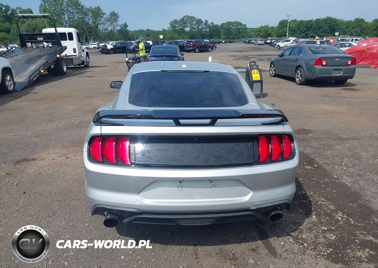 2019 Ford Mustang Ecoboost VIN:1FA6P8TH1K5116356 - 16