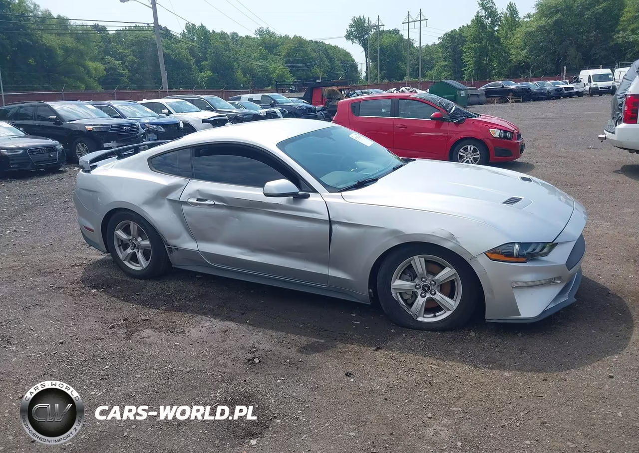 2019 Ford Mustang Ecoboost VIN:1FA6P8TH1K5116356 - 17