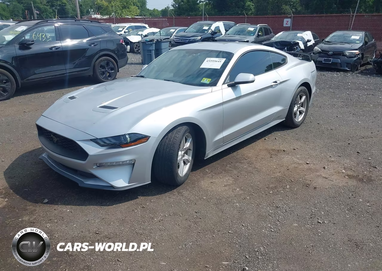 2019 Ford Mustang Ecoboost VIN:1FA6P8TH1K5116356 - 2