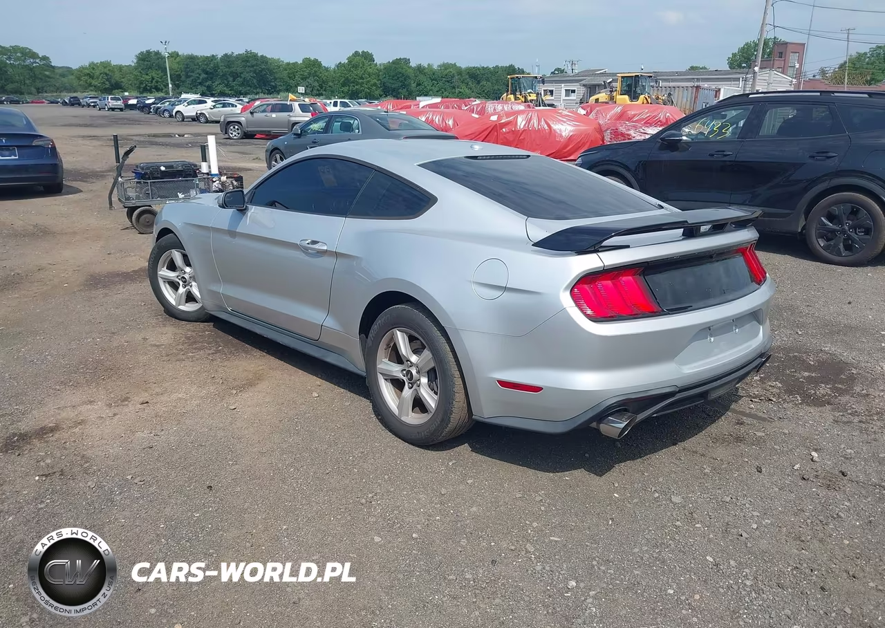 2019 Ford Mustang Ecoboost VIN:1FA6P8TH1K5116356 - 3