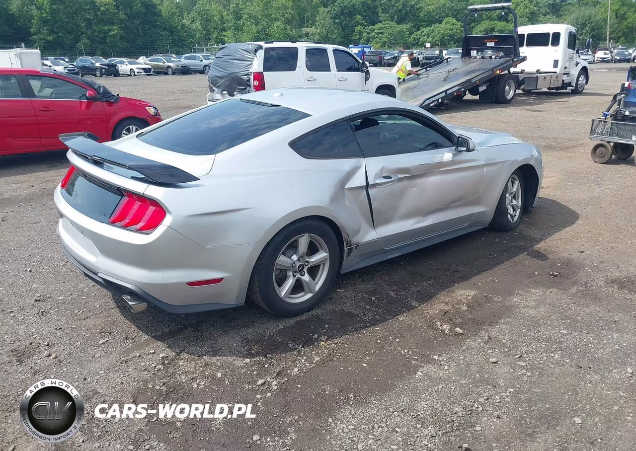 2019 Ford Mustang Ecoboost VIN:1FA6P8TH1K5116356 - 4