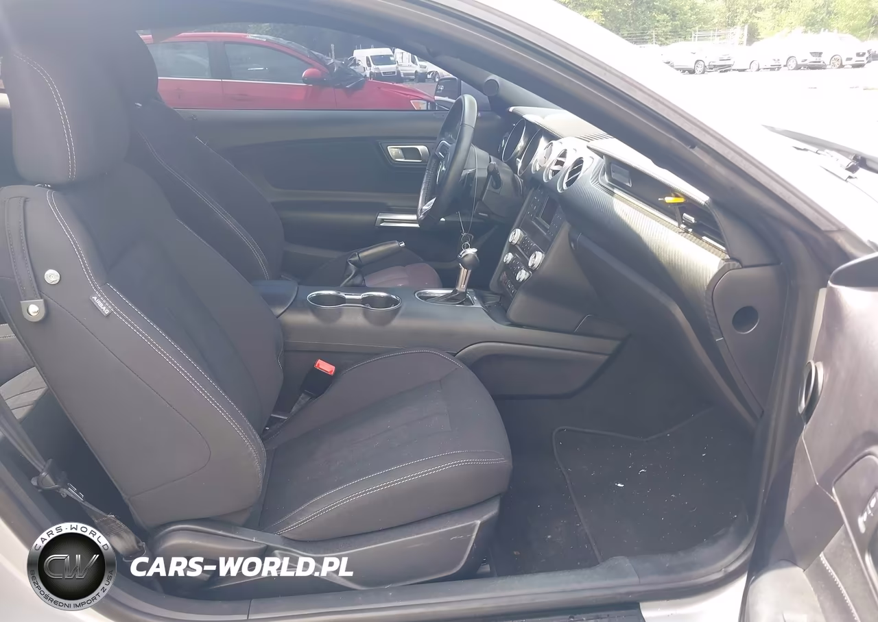 2019 Ford Mustang Ecoboost VIN:1FA6P8TH1K5116356 - 5