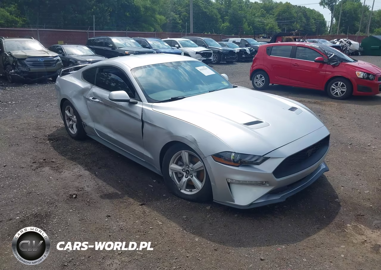 2019 Ford Mustang Ecoboost VIN:1FA6P8TH1K5116356 - 6