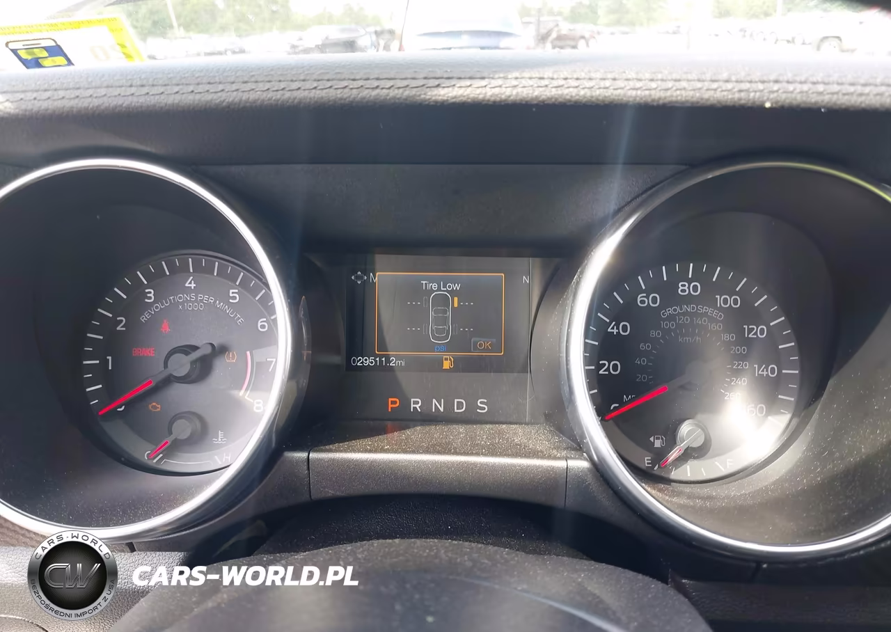 2019 Ford Mustang Ecoboost VIN:1FA6P8TH1K5116356 - 7