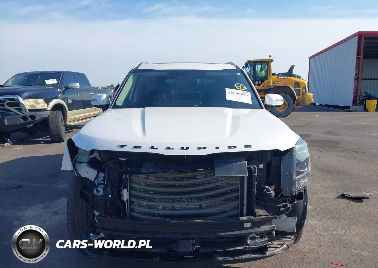2021 Kia Telluride S VIN:5XYP6DHCXMG136008 - 13