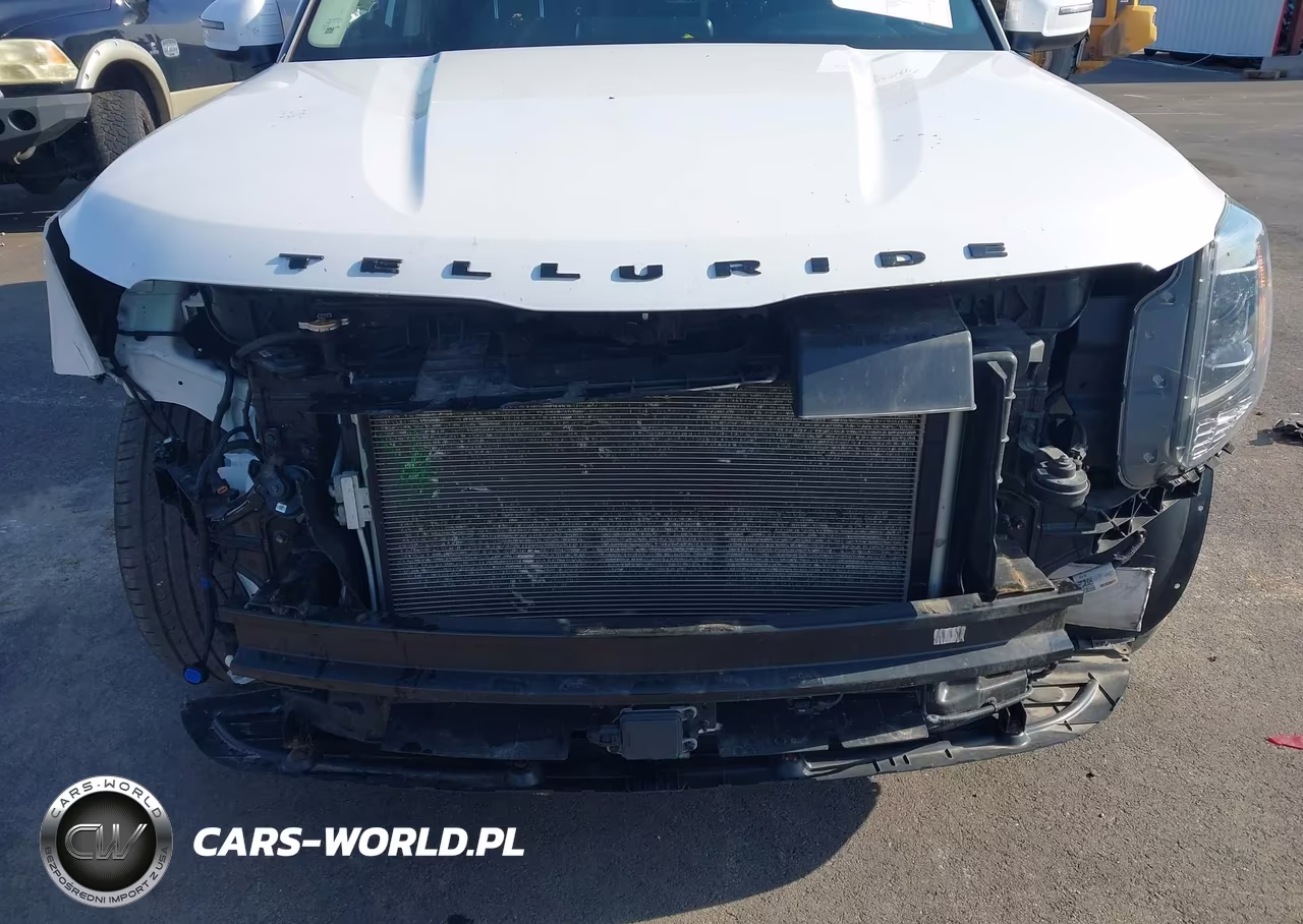 2021 Kia Telluride S VIN:5XYP6DHCXMG136008 - 6