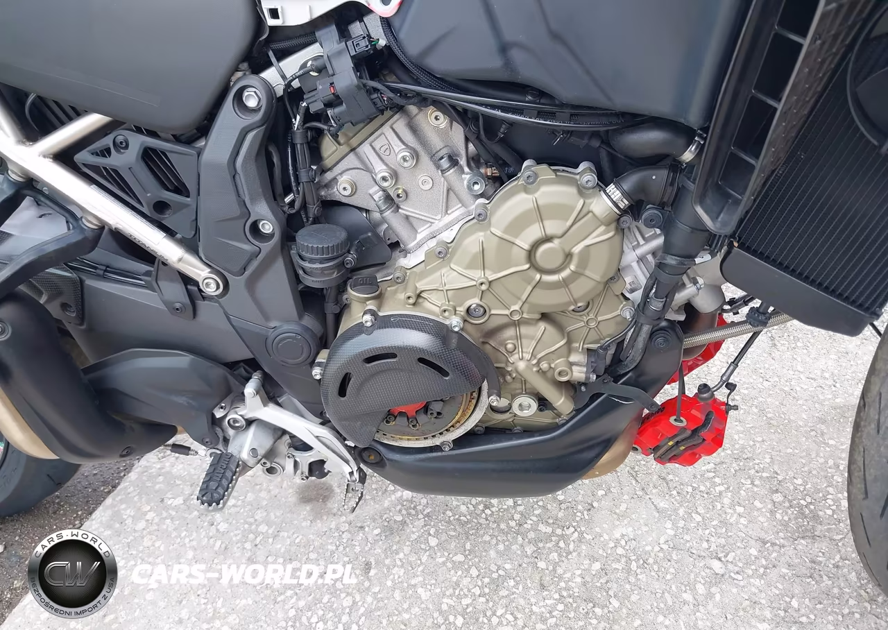 2024 Ducati Multistrada V4 Rs VIN:ZDMAAL5W5RB000937 - 8