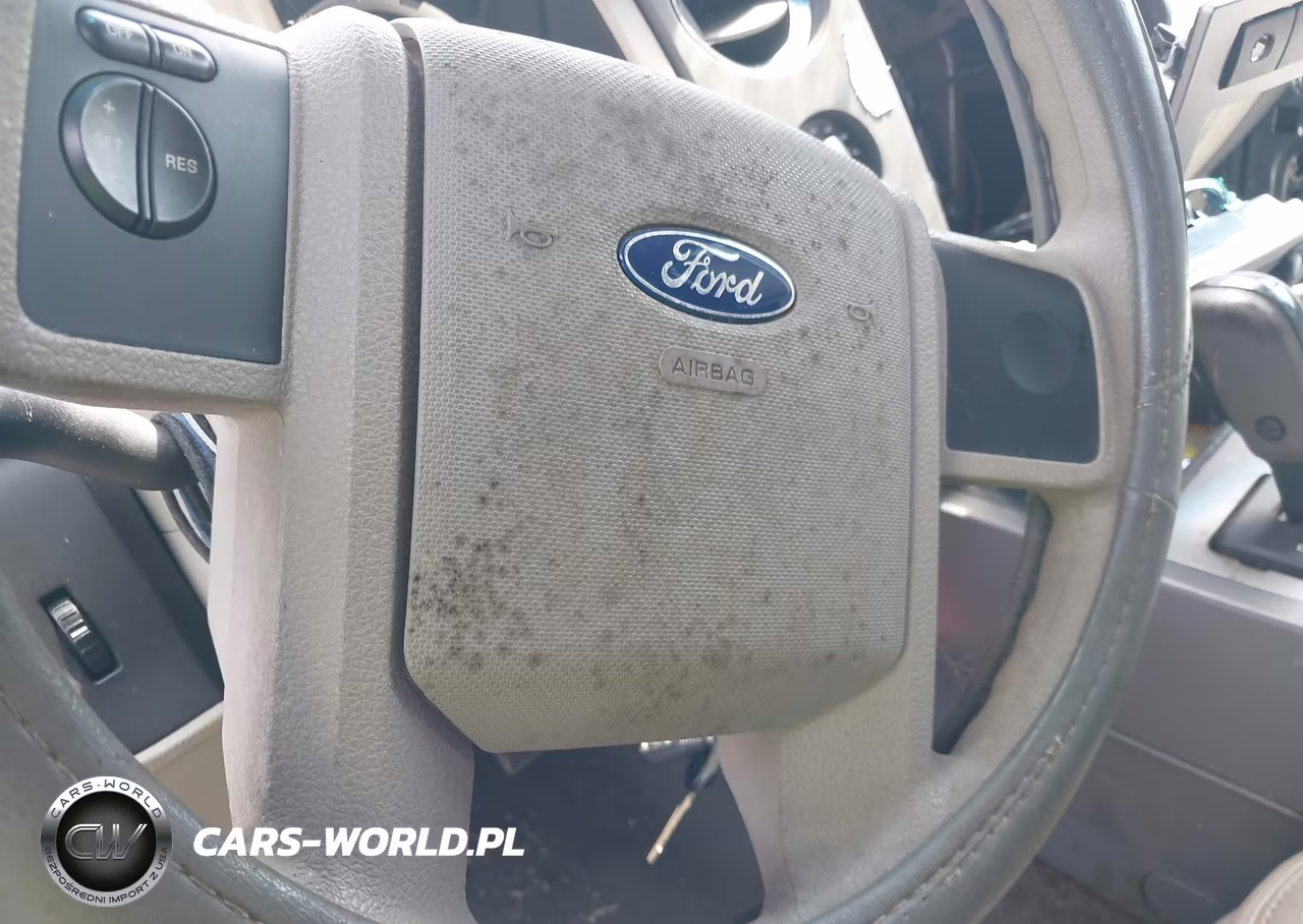 2007 Ford Expedition Xlt VIN:1FMFU165X7LA43269 - 13
