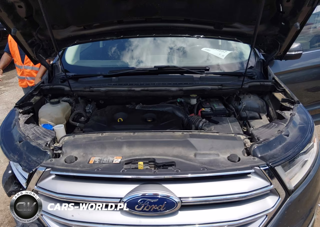 2016 Ford Edge Sel VIN:2FMPK3J95GBC09133 - 10