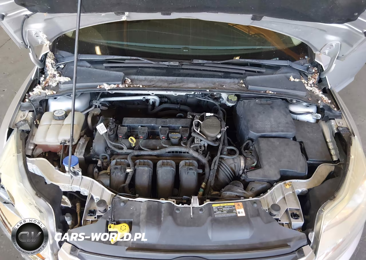 2013 Ford Focus Se VIN:1FADP3K20DL252192 - 10