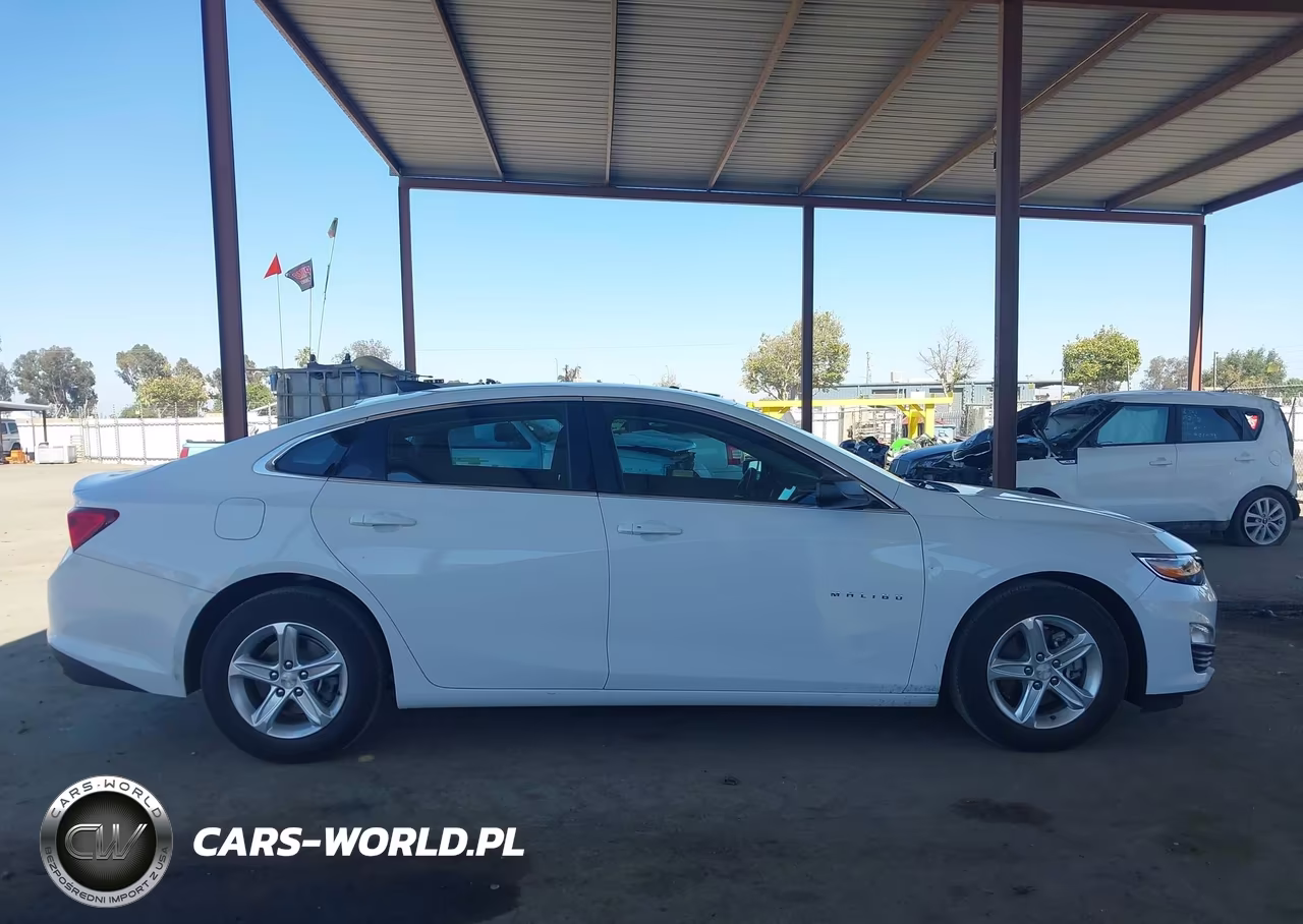 2020 Chevrolet Malibu Fwd 1Fl VIN:1G1ZC5ST2LF134568 - 17
