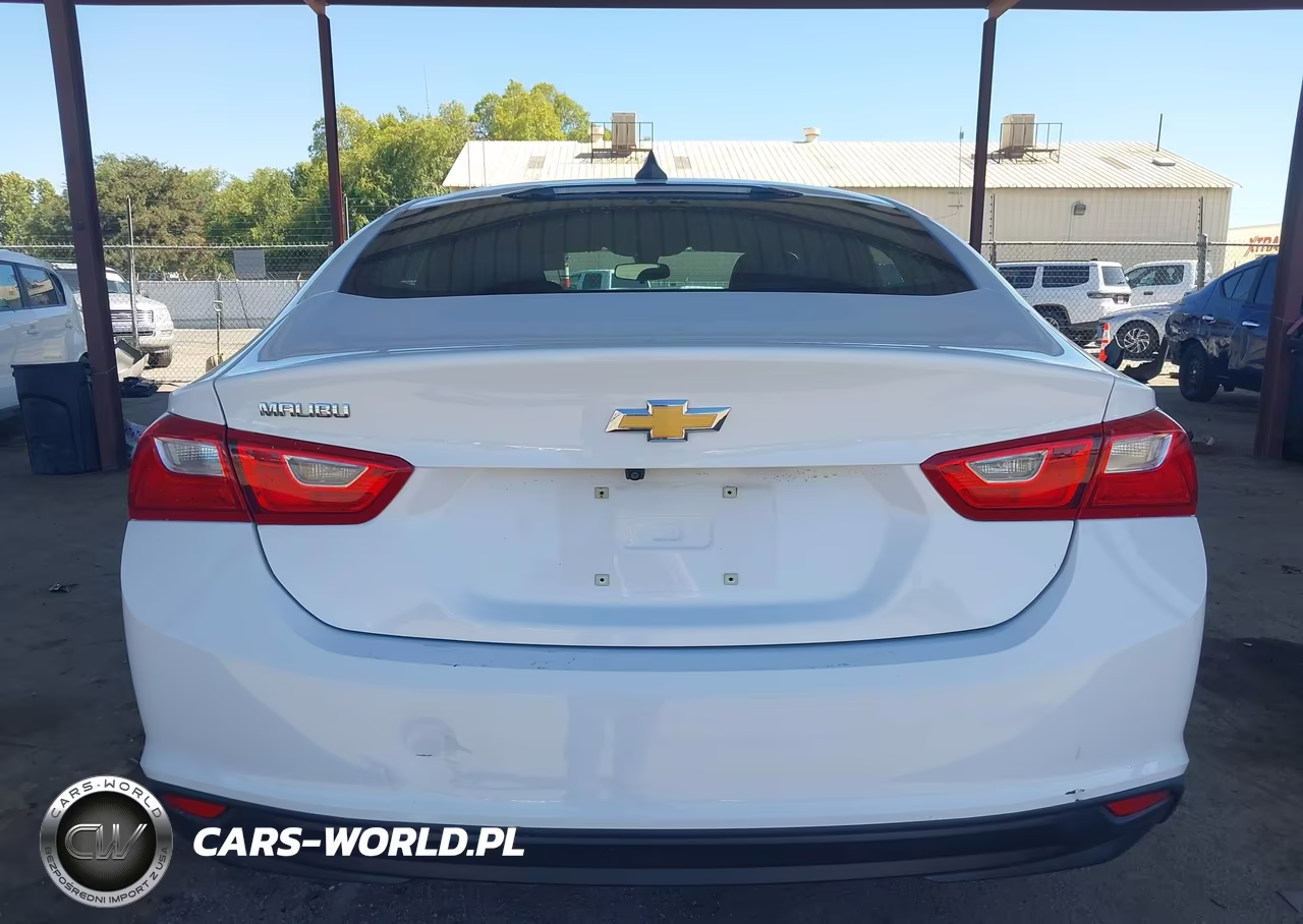 2020 Chevrolet Malibu Fwd 1Fl VIN:1G1ZC5ST2LF134568 - 20