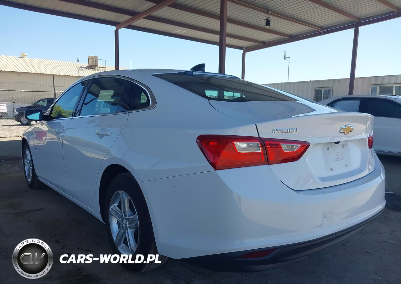 2020 Chevrolet Malibu Fwd 1Fl VIN:1G1ZC5ST2LF134568 - 3