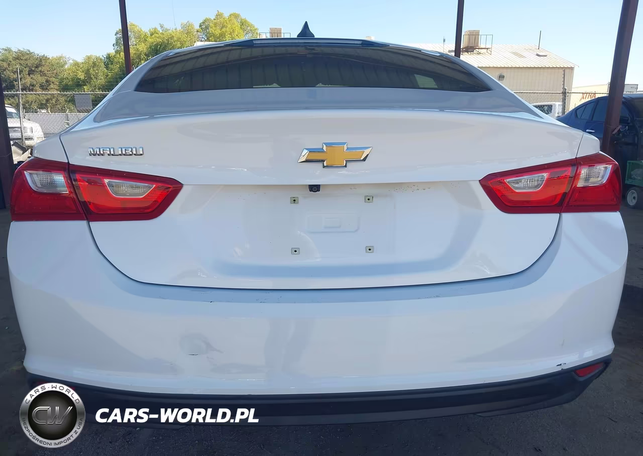 2020 Chevrolet Malibu Fwd 1Fl VIN:1G1ZC5ST2LF134568 - 6