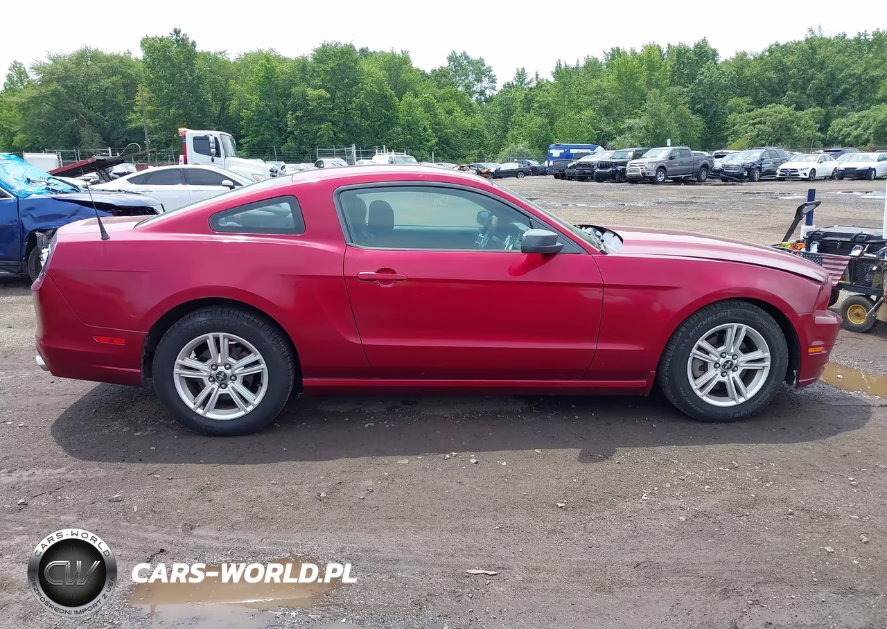 2014 Ford Mustang V6 VIN:1ZVBP8AM2E5220879 - 13