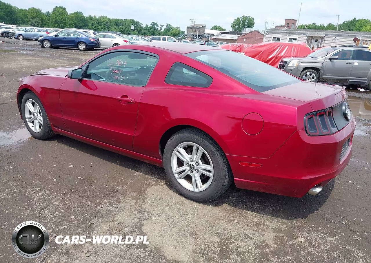 2014 Ford Mustang V6 VIN:1ZVBP8AM2E5220879 - 3