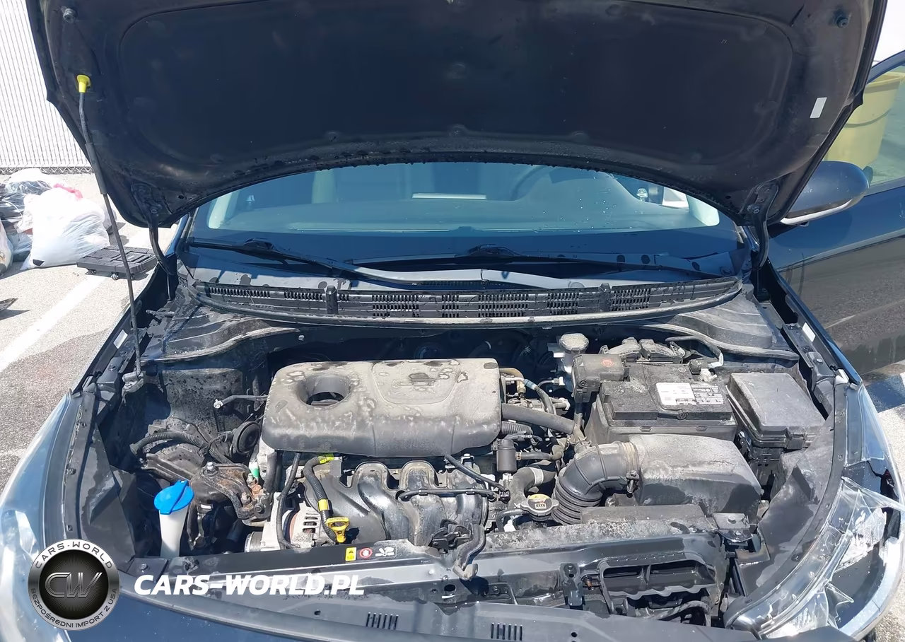 2019 Kia Rio 5-Door S VIN:3KPA25AB4KE176961 - 10