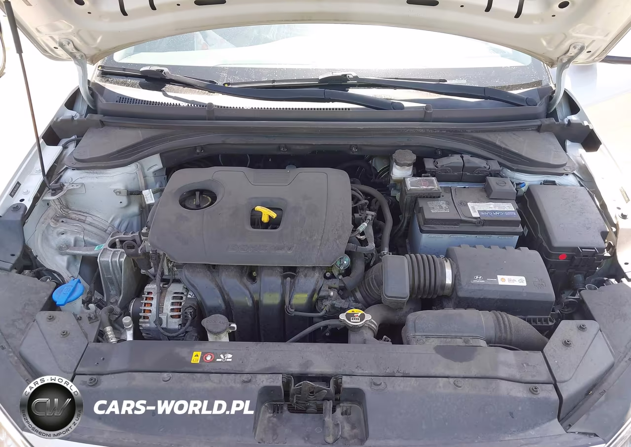 2019 Hyundai Elantra Se VIN:5NPD74LF9KH454998 - 10