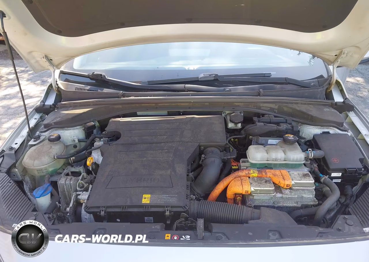 2020 Hyundai Ioniq Hybrid Se VIN:KMHC75LC1LU201118 - 10
