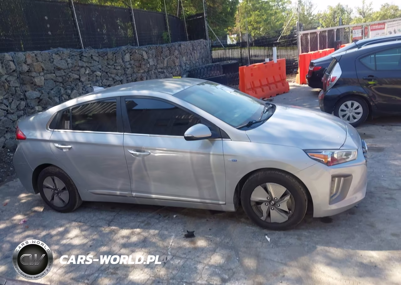 2020 Hyundai Ioniq Hybrid Se VIN:KMHC75LC1LU201118 - 13