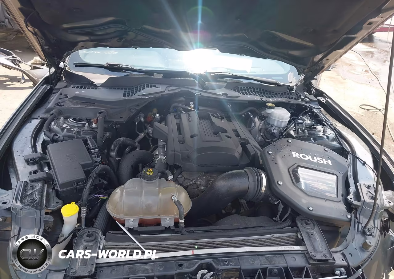 2019 Ford Mustang Ecoboost VIN:1FA6P8TH9K5152294 - 10
