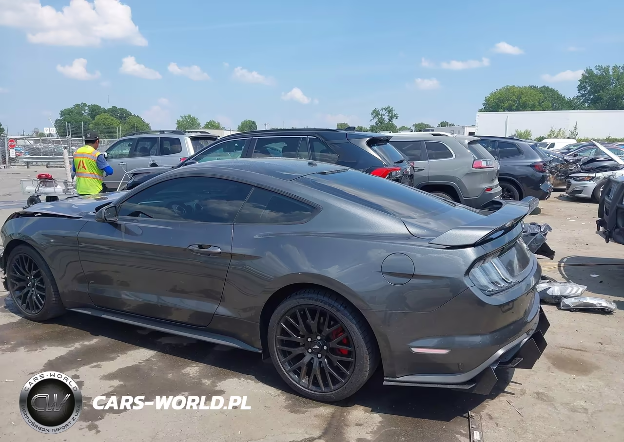 2019 Ford Mustang Ecoboost VIN:1FA6P8TH9K5152294 - 15