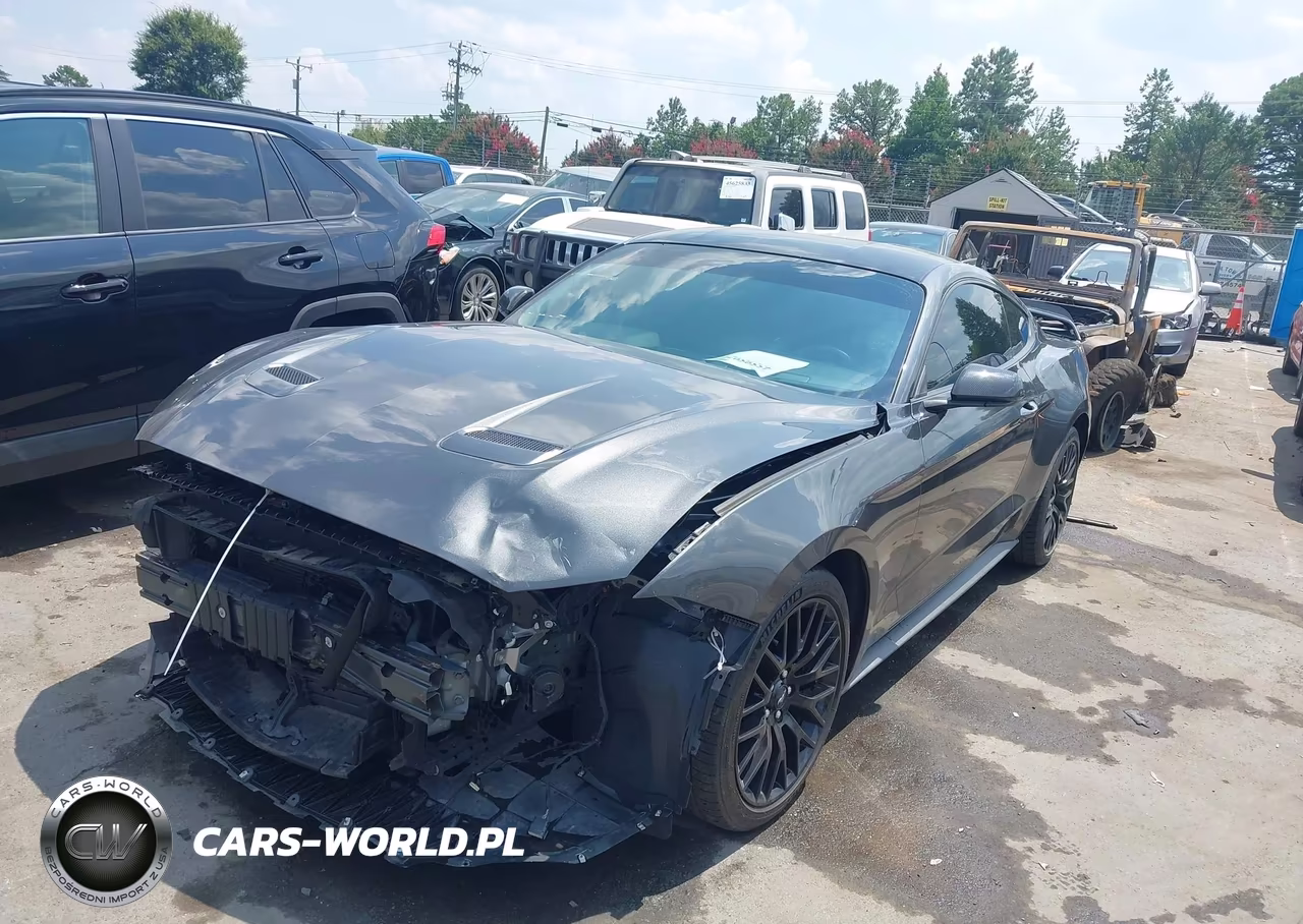 2019 Ford Mustang Ecoboost VIN:1FA6P8TH9K5152294 - 2