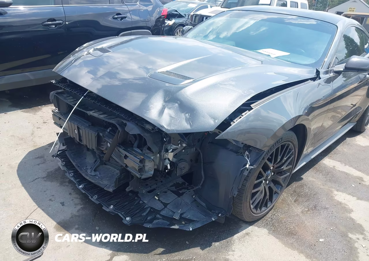 2019 Ford Mustang Ecoboost VIN:1FA6P8TH9K5152294 - 6