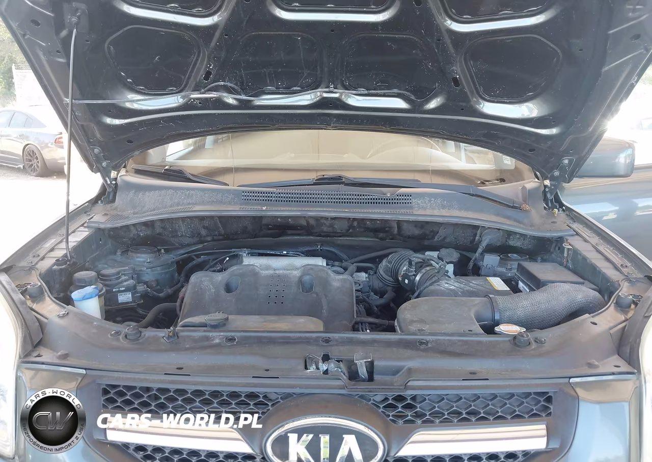 2009 Kia Sportage Ex V6 VIN:KNDJE723297638597 - 10