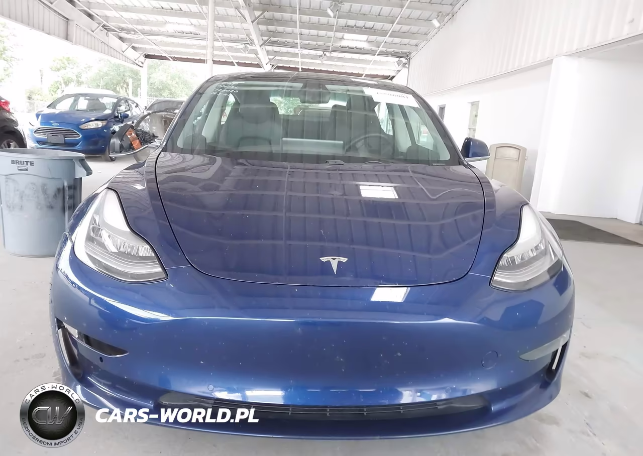 2019 Tesla Model 3 Long Range-Mid Range-Standard Range-Standard Range Plus VIN:5YJ3E1EA4KF428759 - 11