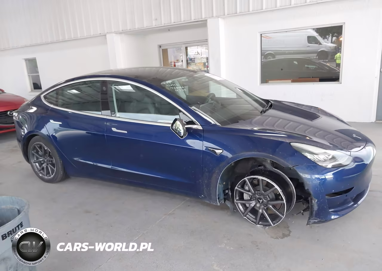 2019 Tesla Model 3 Long Range-Mid Range-Standard Range-Standard Range Plus VIN:5YJ3E1EA4KF428759 - 12