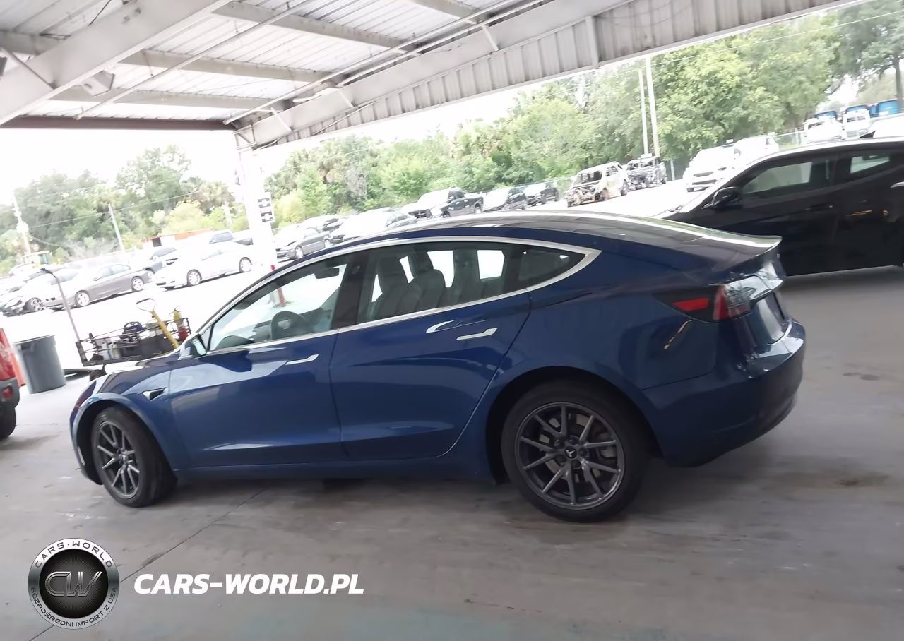 2019 Tesla Model 3 Long Range-Mid Range-Standard Range-Standard Range Plus VIN:5YJ3E1EA4KF428759 - 13