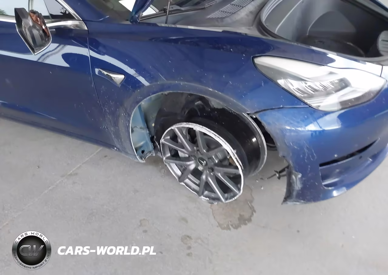 2019 Tesla Model 3 Long Range-Mid Range-Standard Range-Standard Range Plus VIN:5YJ3E1EA4KF428759 - 6
