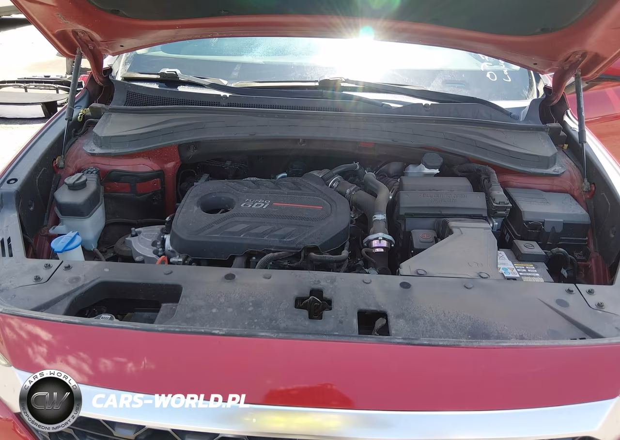 2019 Hyundai Santa Fe Limited 2.0T VIN:5NMS53AA6KH014846 - 10