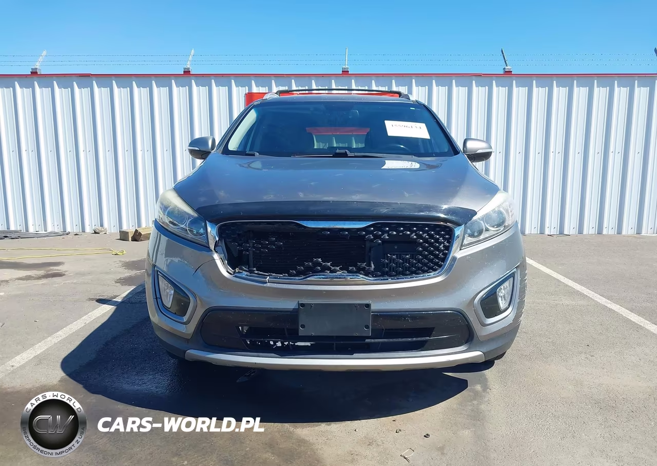 2016 Kia Sorento 2.0T Ex VIN:5XYPH4A14GG013716 - 12